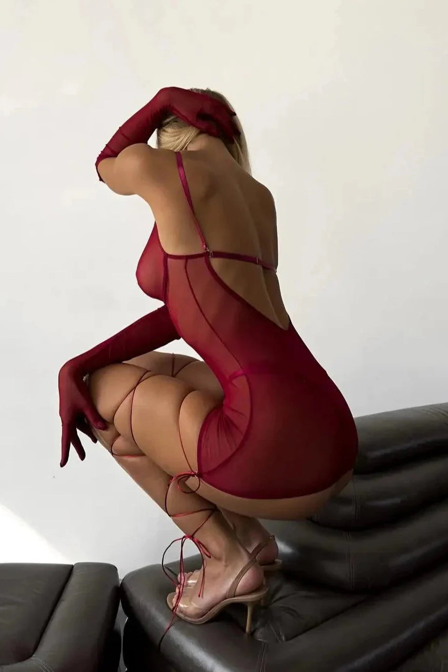 ROSALIE Transparent Lace Set